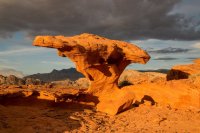 des 2 505 imp resized.jpg des 2 505 imp resized.jpg