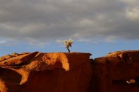 des 2 512 resized.jpg des 2 512 resized.jpg