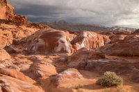 des 2 474imp resized.jpg