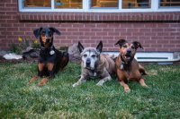 IMG_2722-Edit.jpg IMG_2722-Edit.jpg