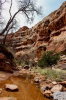 Cedar Mesa-187.jpg Cedar Mesa-187.jpg