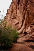 Cedar Mesa-204.jpg Cedar Mesa-204.jpg