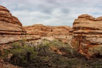 Cedar Mesa-229.jpg Cedar Mesa-229.jpg