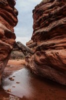 Cedar Mesa-234.jpg Cedar Mesa-234.jpg