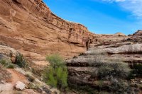 Cedar Mesa-240.jpg Cedar Mesa-240.jpg