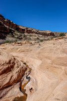 Cedar Mesa-255.jpg Cedar Mesa-255.jpg