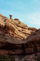 Cedar Mesa-286.jpg Cedar Mesa-286.jpg