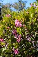 Crawford Overlook-38.jpg