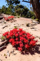 Crawford Overlook-39.jpg