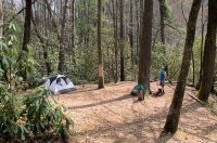 _FB-Chattooga3.jpg _FB-Chattooga3.jpg