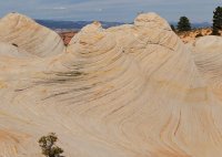 des4 744crop2 resized.jpg des4 744crop2 resized.jpg