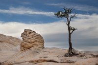 des4 785imp2 resized.jpg des4 785imp2 resized.jpg