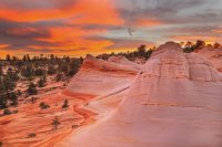 des4 810 imp2 resized.jpg des4 810 imp2 resized.jpg