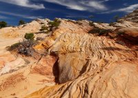 des4 748crop2 resized.jpg des4 748crop2 resized.jpg