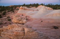 des4 829imp resized.jpg des4 829imp resized.jpg