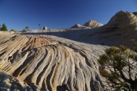 des4 873 resized.jpg des4 873 resized.jpg