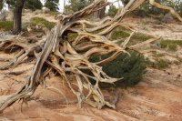 des4 782 resized.jpg des4 782 resized.jpg