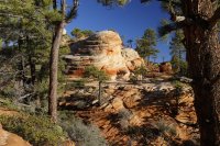 des4 880 resized.jpg des4 880 resized.jpg