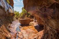 des4 899imp resized.jpg des4 899imp resized.jpg