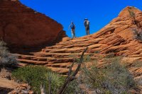 IMG_5376.JPG IMG_5376.JPG