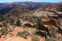 IMG_5381.JPG IMG_5381.JPG