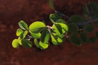 IMG_5396.JPG IMG_5396.JPG