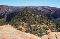 IMG_5403.JPG IMG_5403.JPG