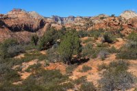 IMG_5424.JPG IMG_5424.JPG