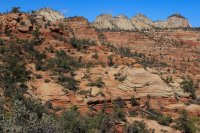 IMG_5427.JPG IMG_5427.JPG