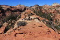 IMG_5431.JPG IMG_5431.JPG