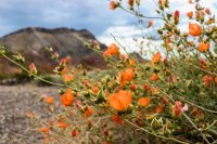 Lake Mead- Lib Bell Arch-27.jpg
