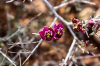 Lake Mead- Lib Bell Arch-30.jpg