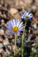 Lake Mead- Lib Bell Arch-34.jpg