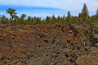 IMG_3703_Caterpillar Collapse_edit.jpg