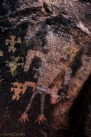 Zion Smalls-49.jpg Zion Smalls-49.jpg