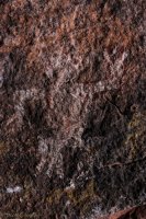 Zion Smalls-55.jpg Zion Smalls-55.jpg