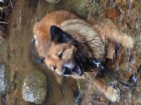 image.jpeg image.jpeg