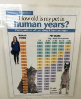 vet-chart.jpg