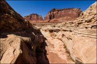 _MG_0465.jpg _MG_0465.jpg