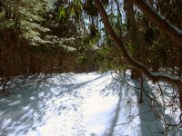 West Virginia Rim Trail.jpg