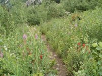 Tetons Table Trail.jpg