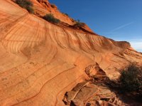 IMG_5546.JPG IMG_5546.JPG