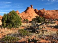 IMG_5562.JPG IMG_5562.JPG