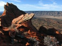 IMG_5589.JPG IMG_5589.JPG