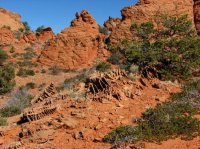 IMG_5598.JPG IMG_5598.JPG