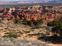 IMG_5603.JPG IMG_5603.JPG