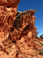 IMG_5607.JPG IMG_5607.JPG