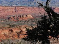 IMG_5609.JPG IMG_5609.JPG