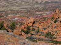 IMG_5621.JPG IMG_5621.JPG