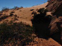 IMG_5640.JPG IMG_5640.JPG